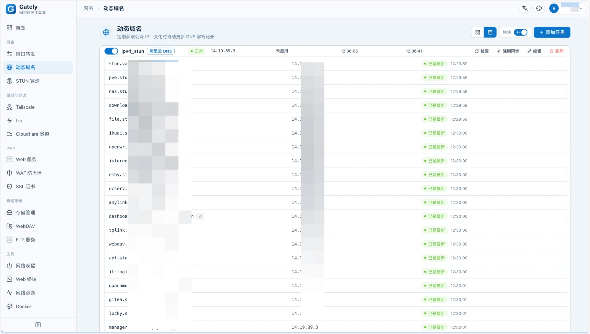Dynamic DNS
