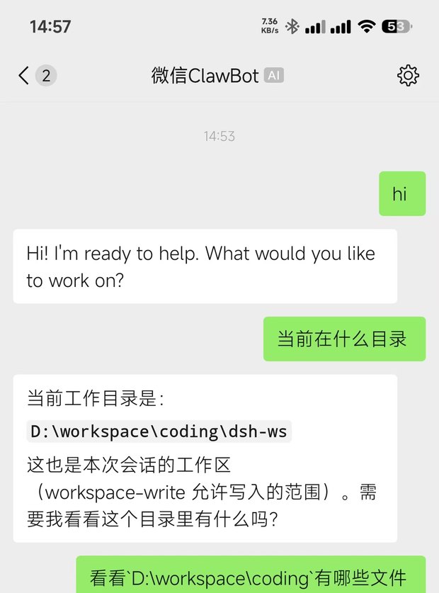 微信里与 DSH 的对话:问当前目录,助手回答工作目录