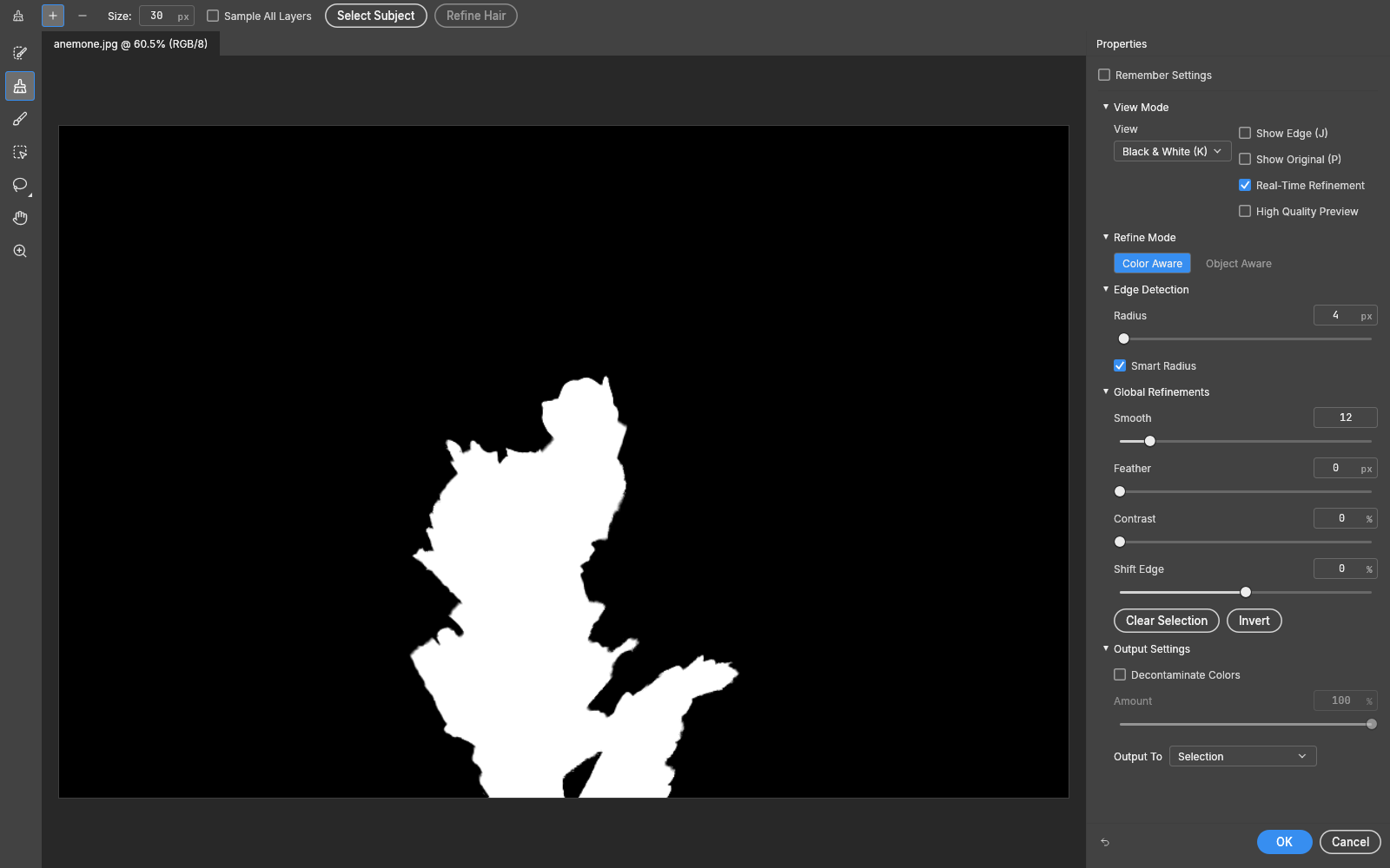 Select and Mask workspace in the Black & White view
