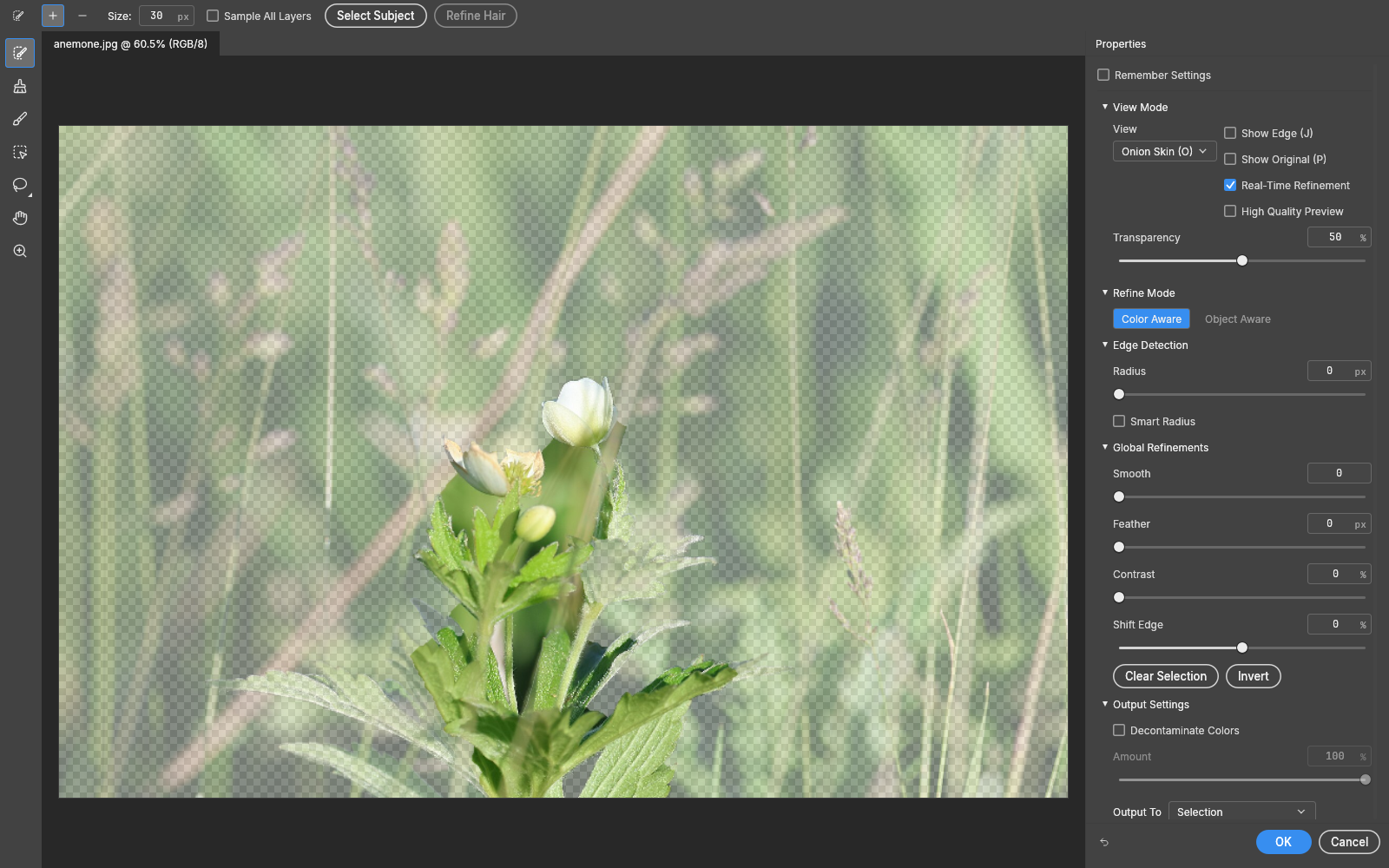 Select and Mask workspace in the Onion Skin view