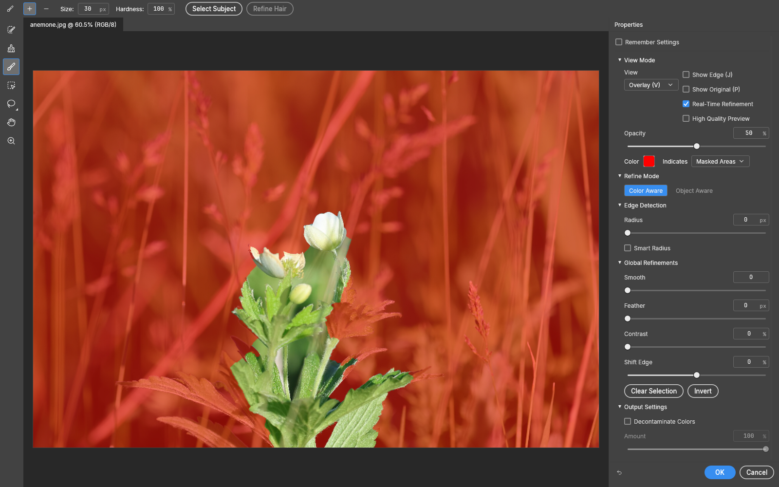 Select and Mask workspace in the Overlay view