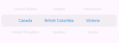 SelectiveWheelPickerBuilder