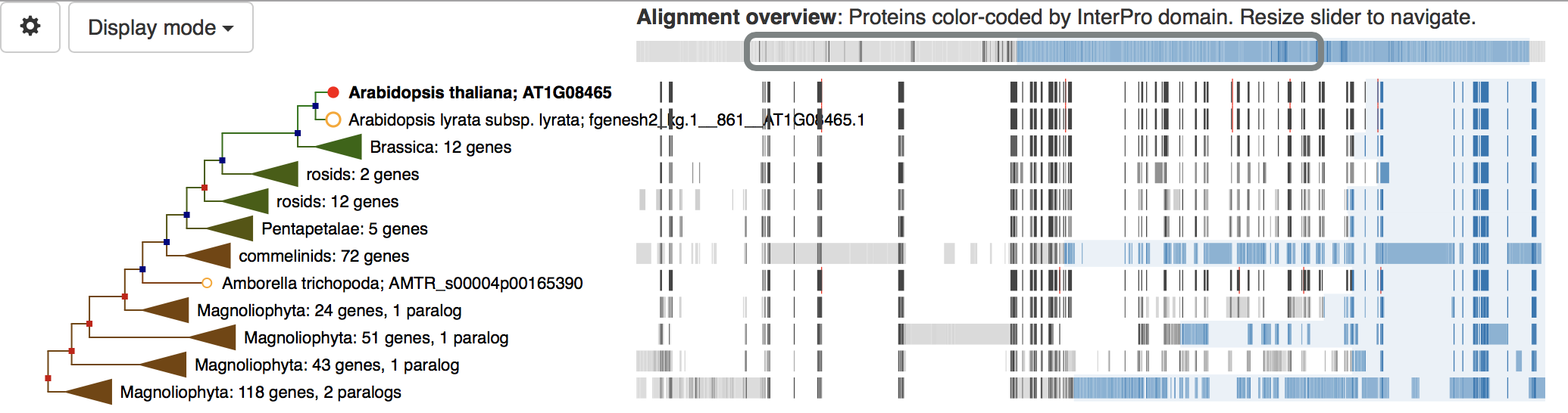 gene tree visualization example