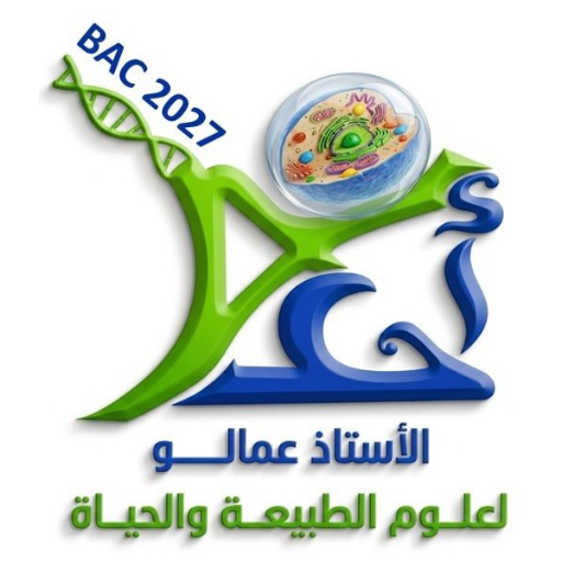 Amalou School Logo