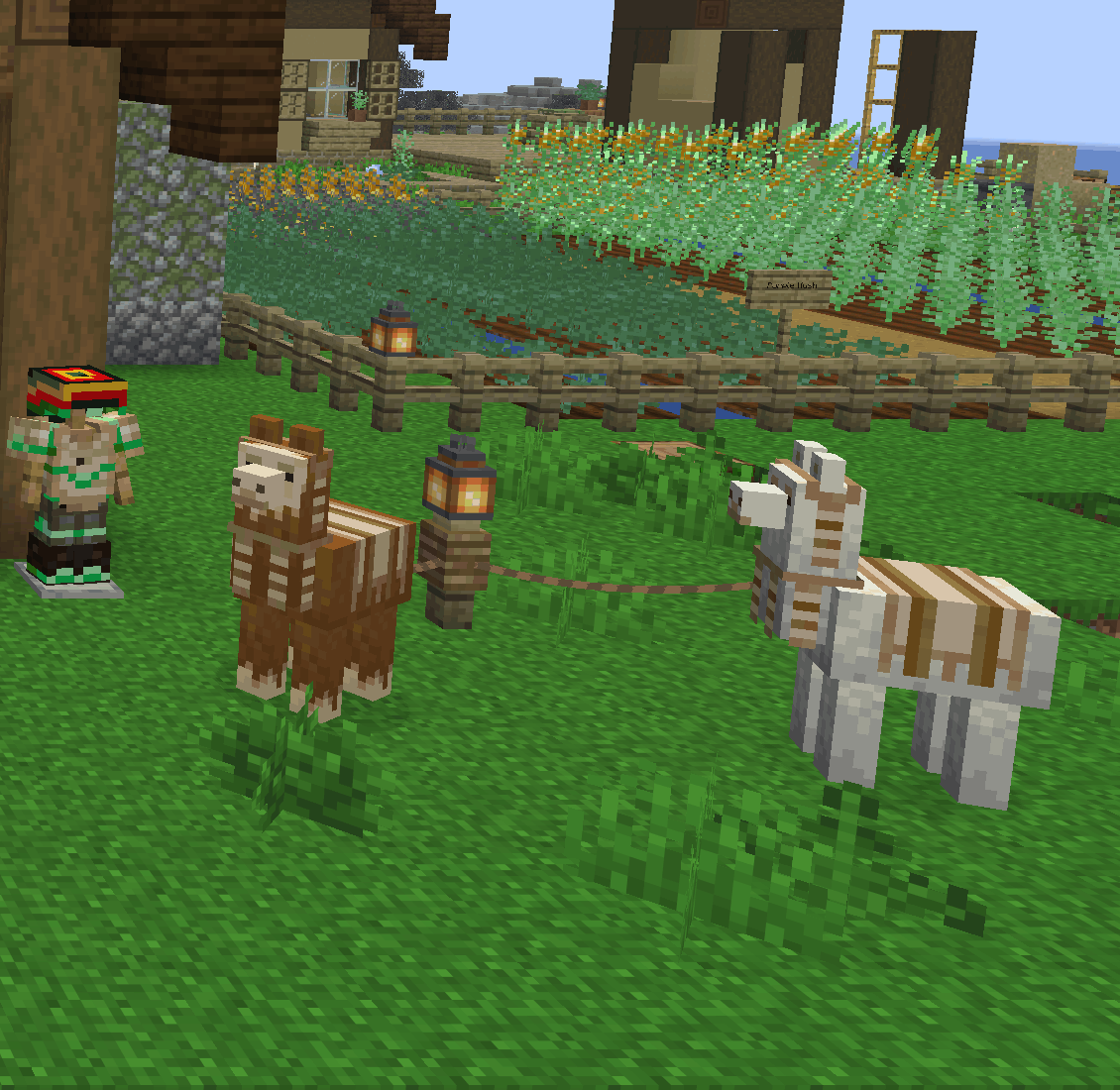 An armour stand in the hemp outfit beside two llamas wearing hemp carpet