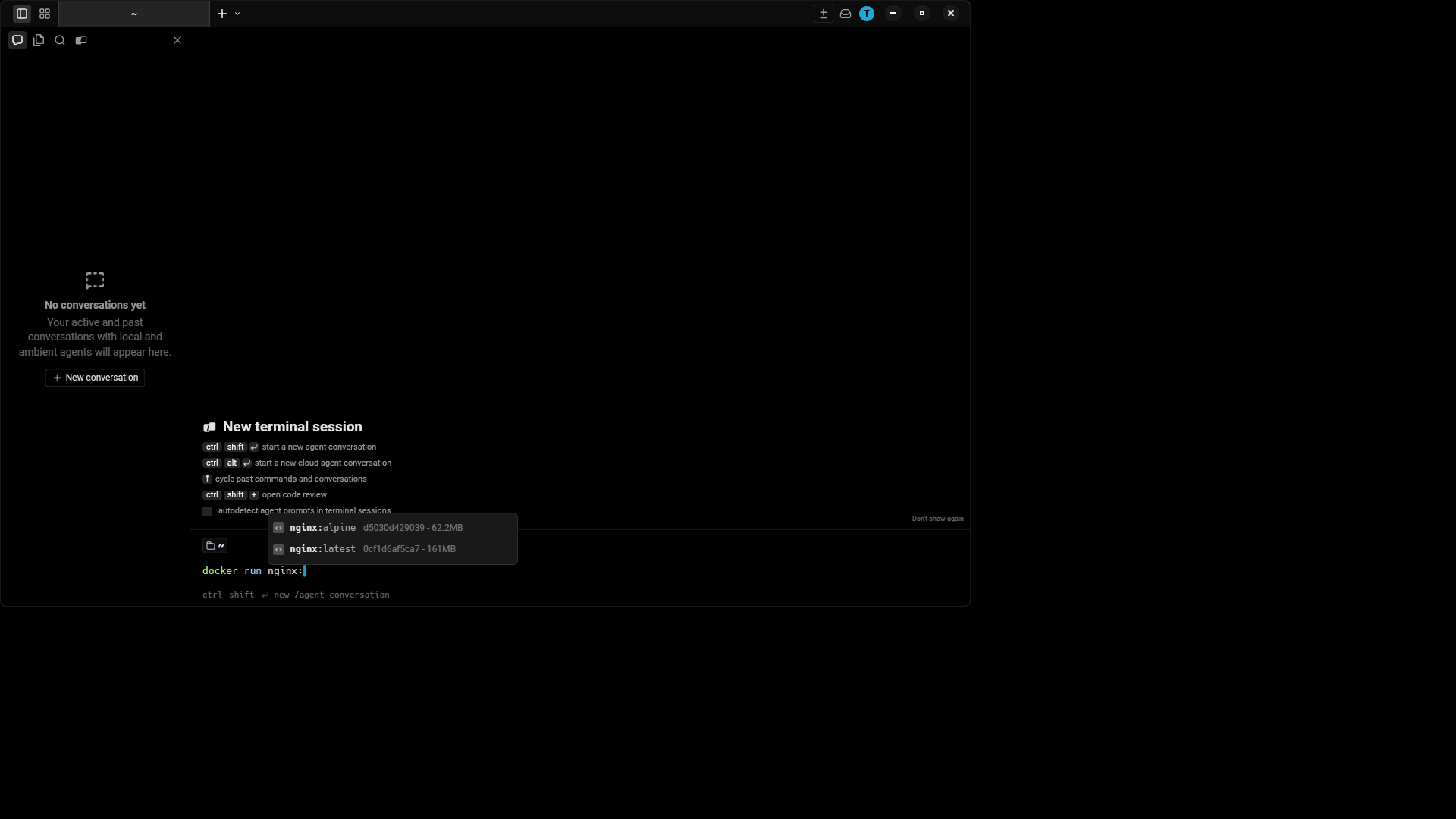 docker run nginx tags