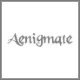 Ænigmate