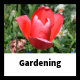 Gardening