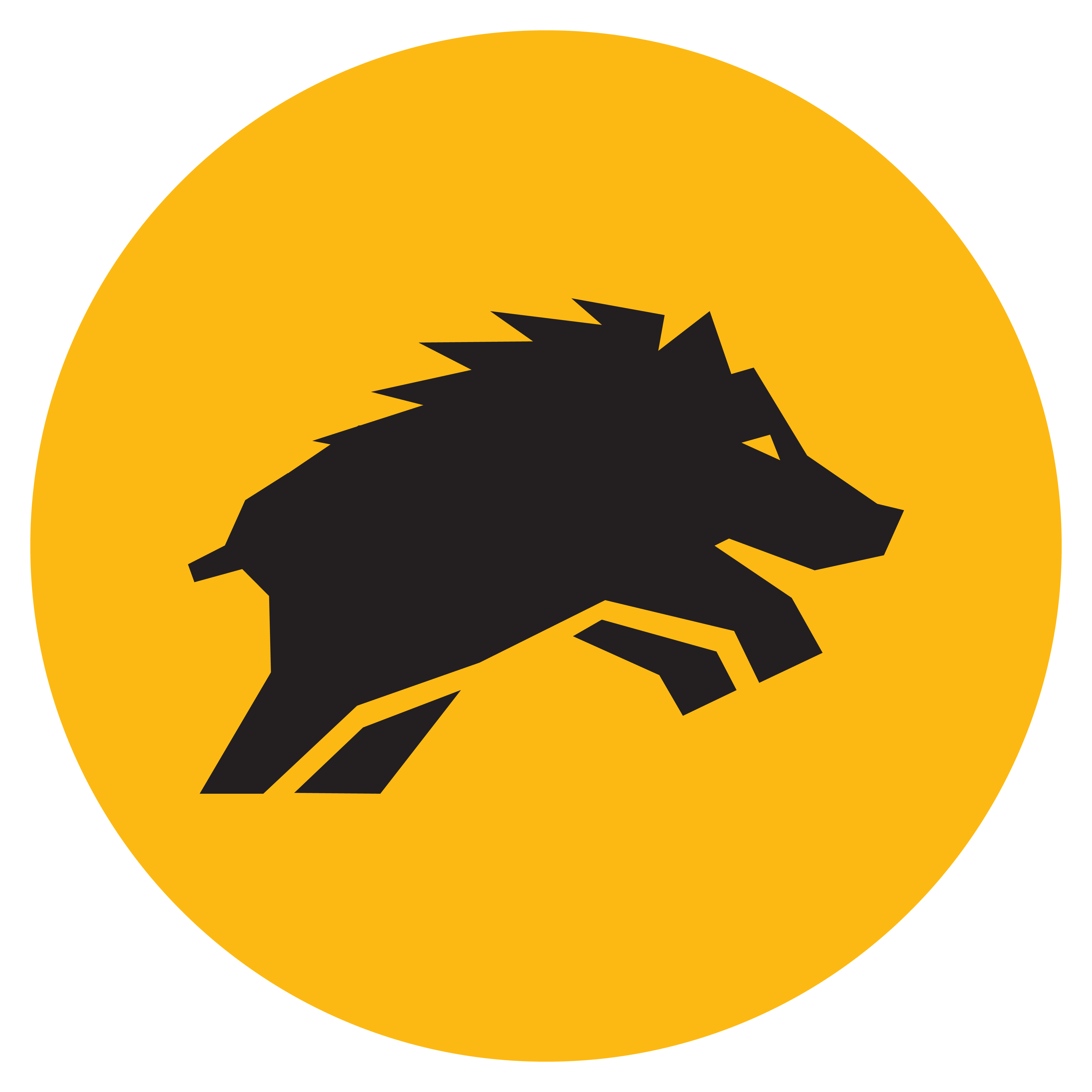 Circle Yellow