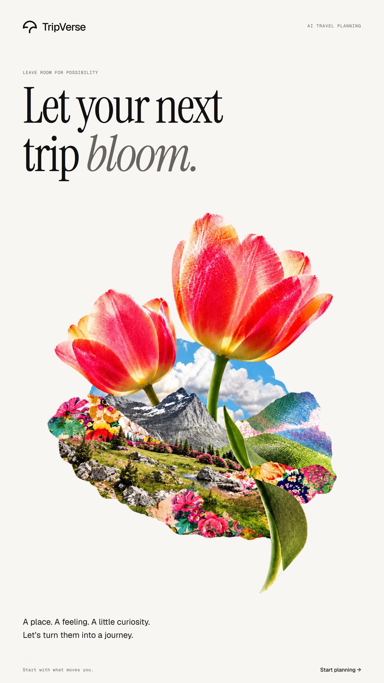 Floral TripVerse campaign composition with tulips and a tiny landscape