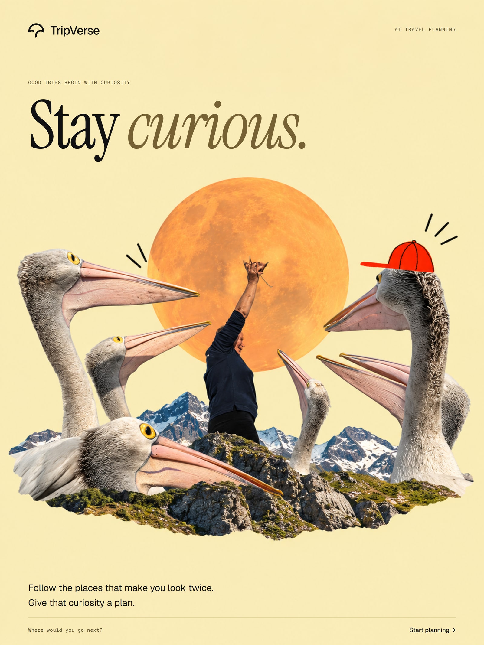 Yellow campaign collage with birds, a traveler, and an orange sun