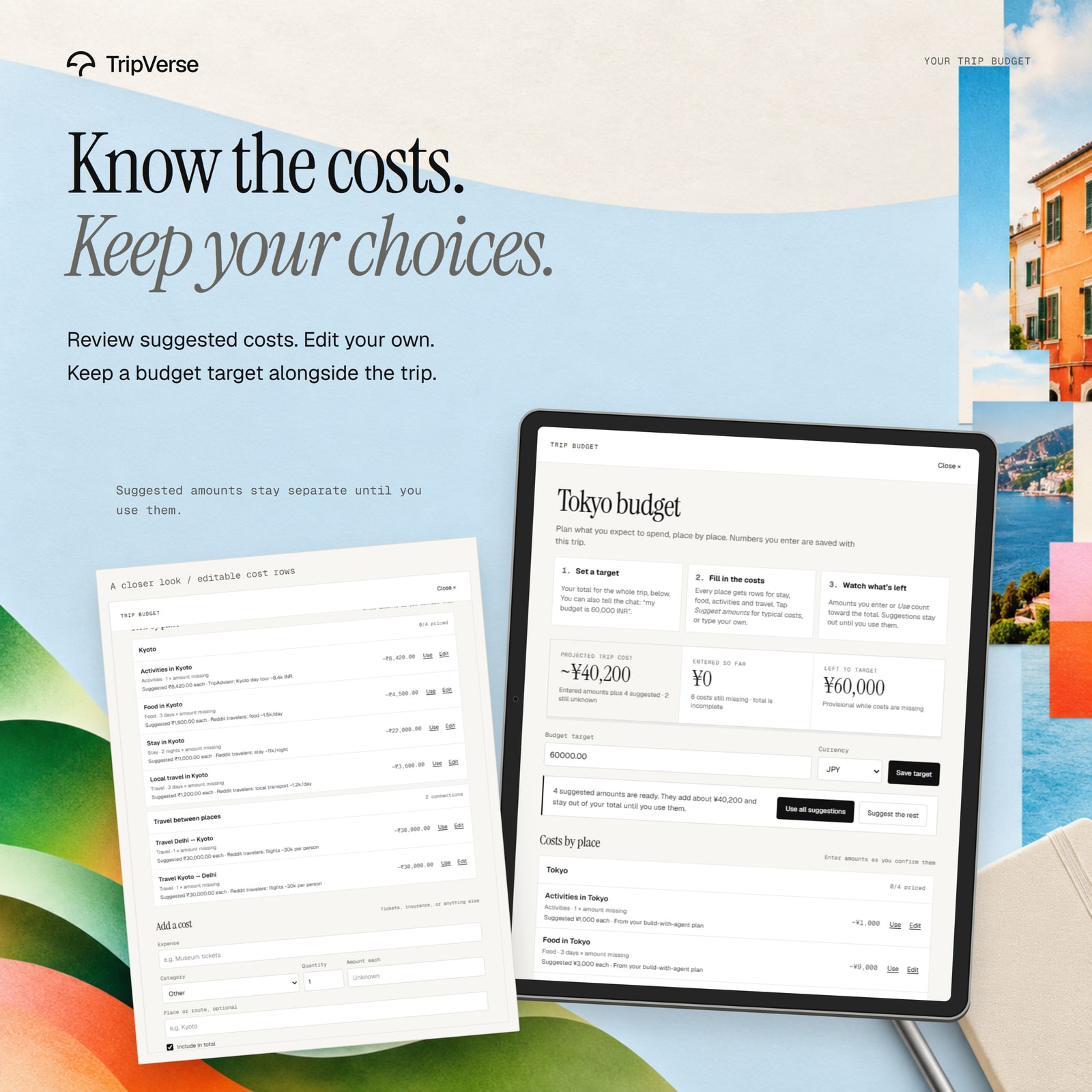 Budget mockup combining the ledger, trip costs, and colorful artwork
