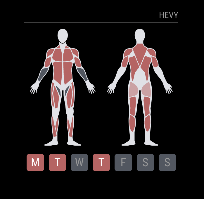 HevyMuscleSplit