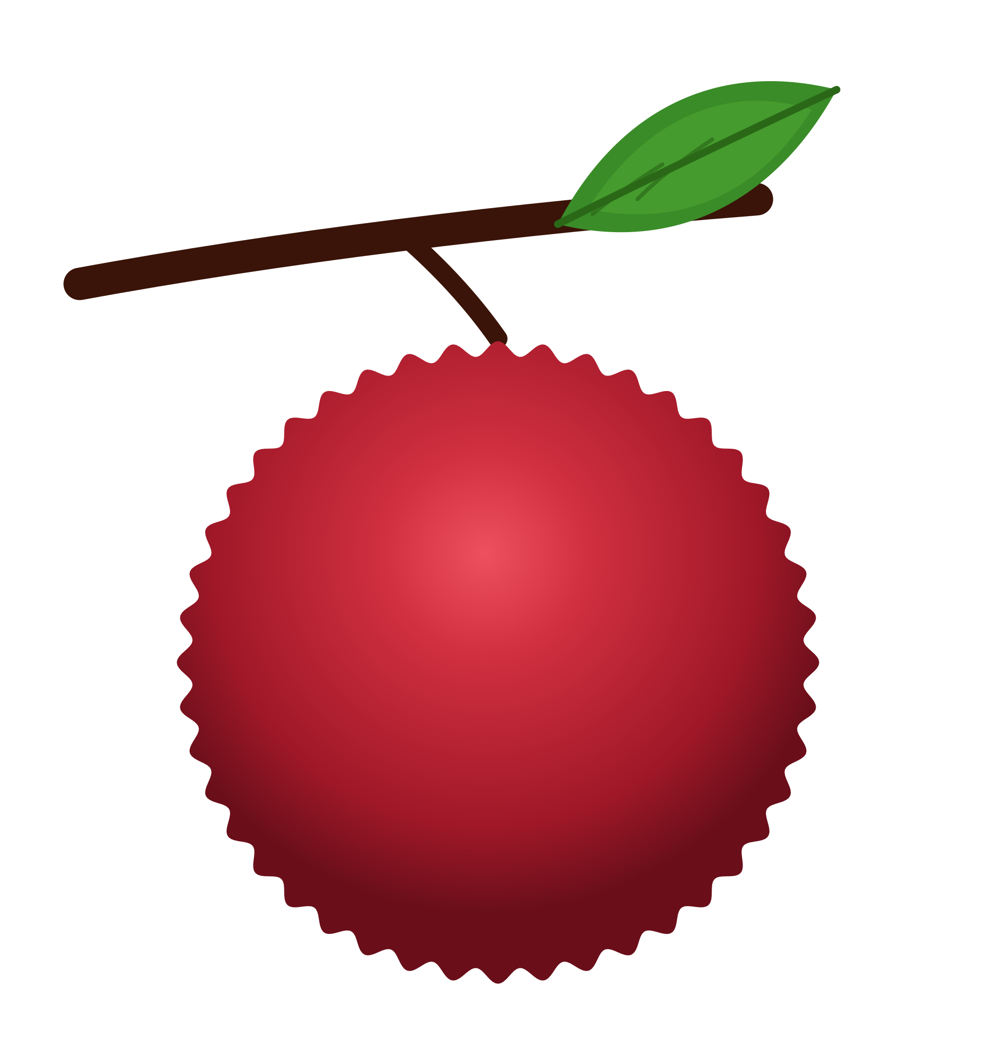Waxberry