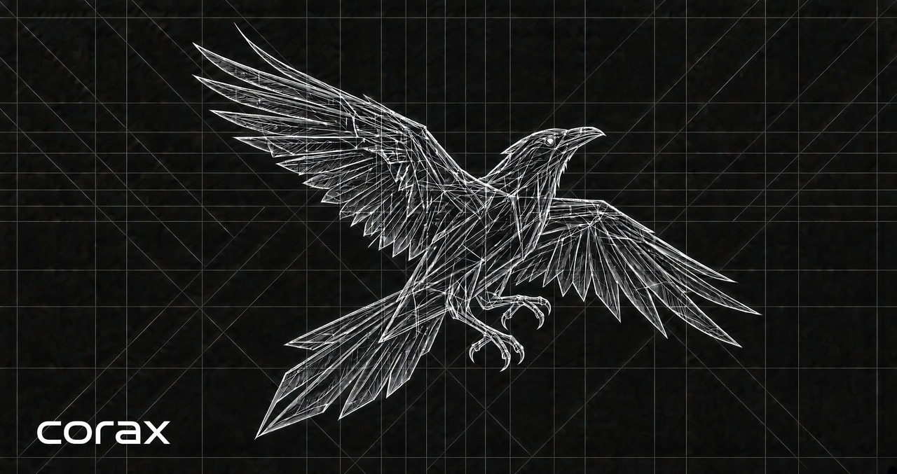 corax