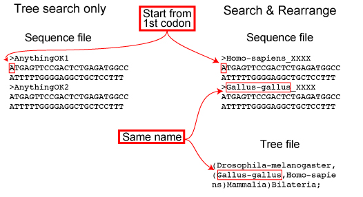 file format