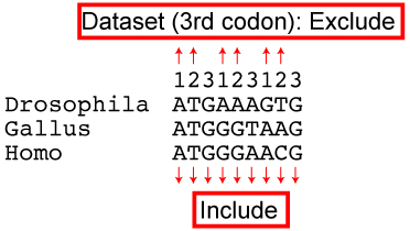 codon mode