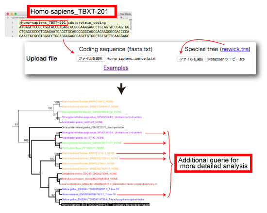 registered sequence search