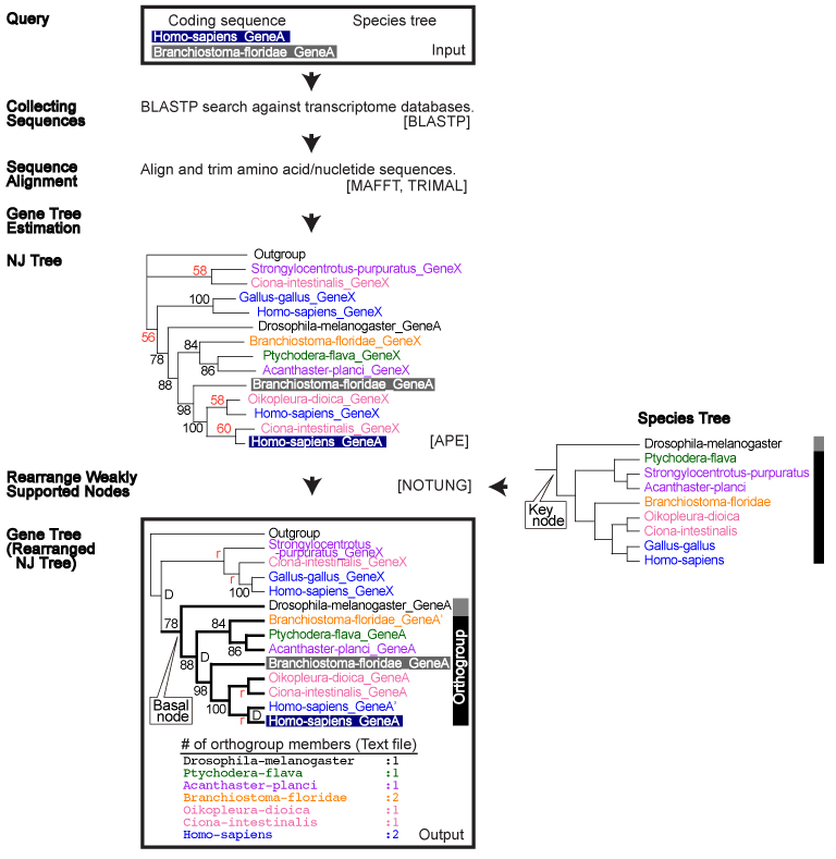 flowChart