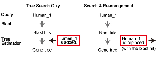 querySeq