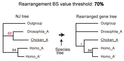 branch rearrangement