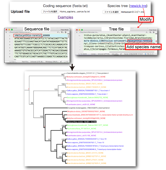 unregistered sequence search