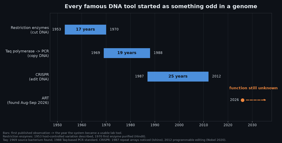 Timeline chart showing restriction enzymes 1953 to 1970, Taq/PCR 1969 to 1988, CRISPR 1987 to 2012, and ART found 2026 with function still unknown