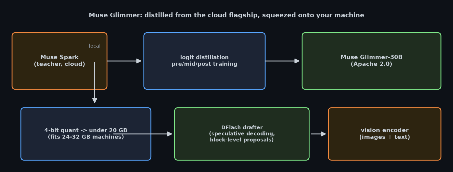Glimmer pipeline: Muse Spark teacher, distillation, 4-bit quant + DFlash drafter + vision encoder