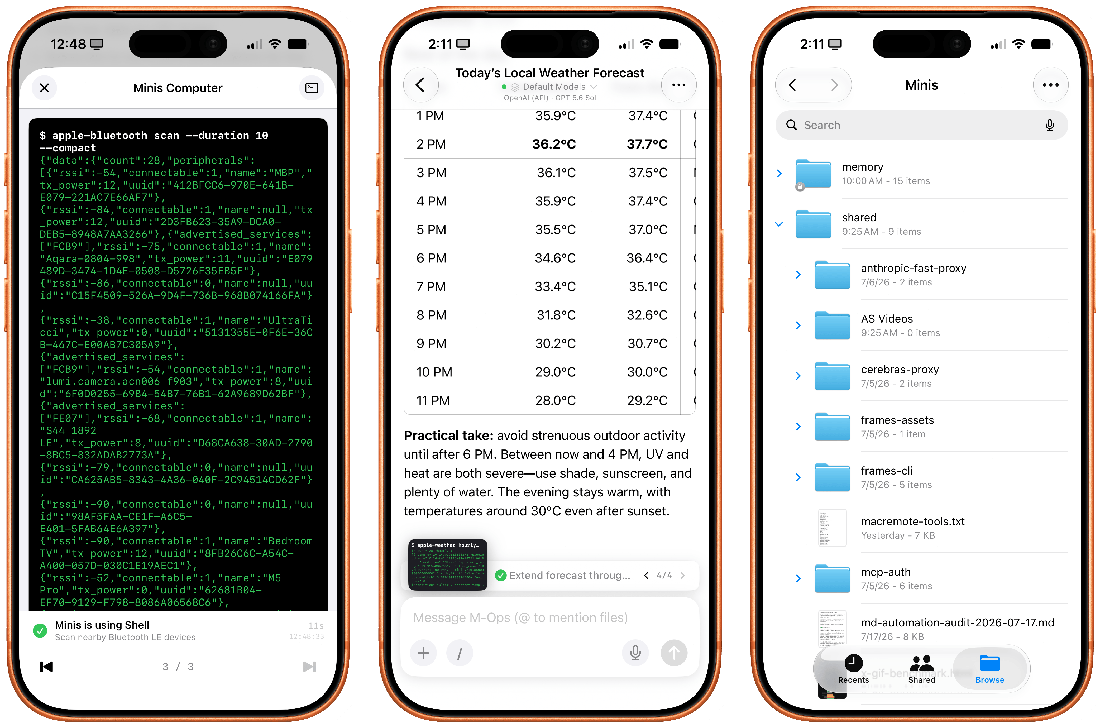 Minis built-in Linux shell and Files workspace