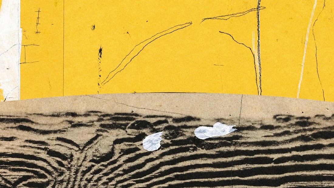 Artwork from Anthropic's Opus 5.5 launch page — a weathered yellow wall over scuffed concrete
