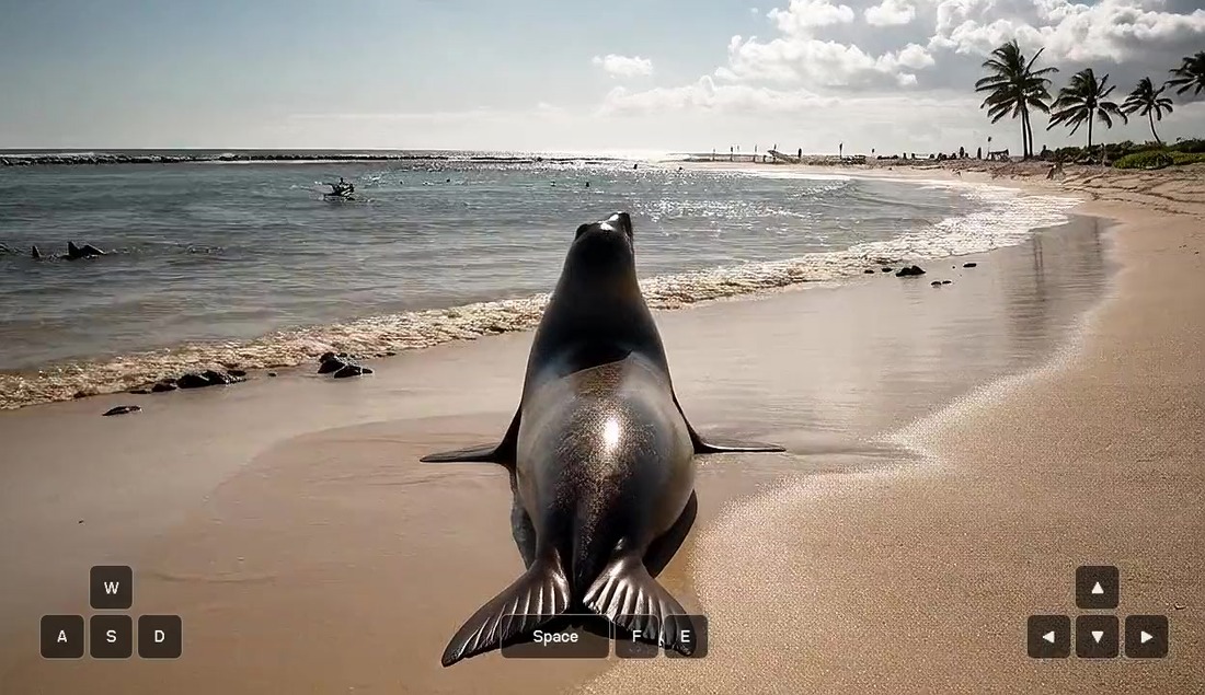 Official Odyssey-3 demo poster: a sea lion on a beach with keyboard controls