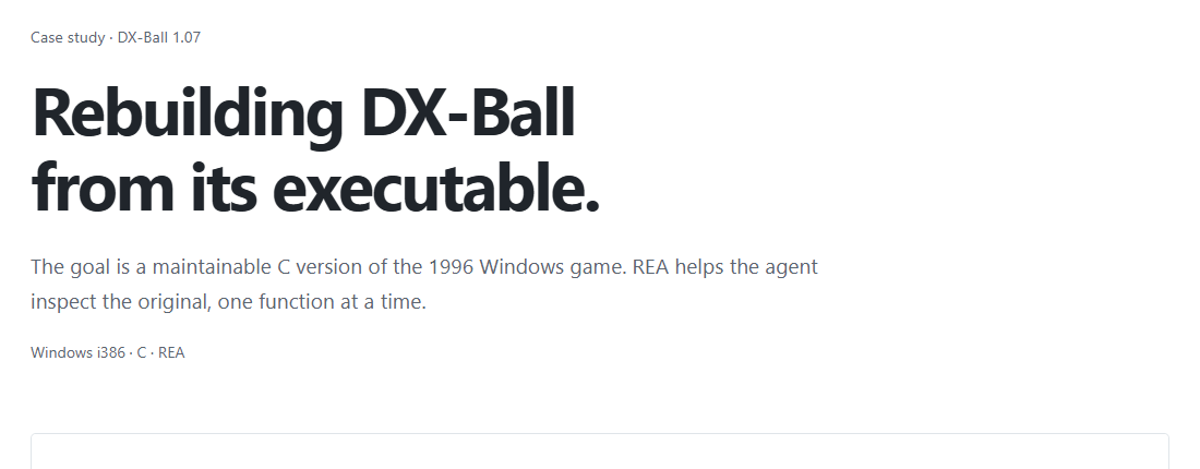 REA project page describing the DX-Ball executable investigation