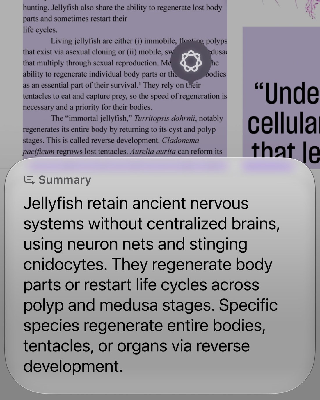 Apple Intelligence summary card generated over an article about jellyfish on screen, with the Apple Intelligence glyph floating above it