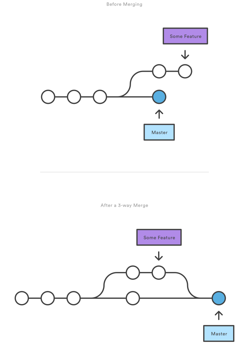 before-merge