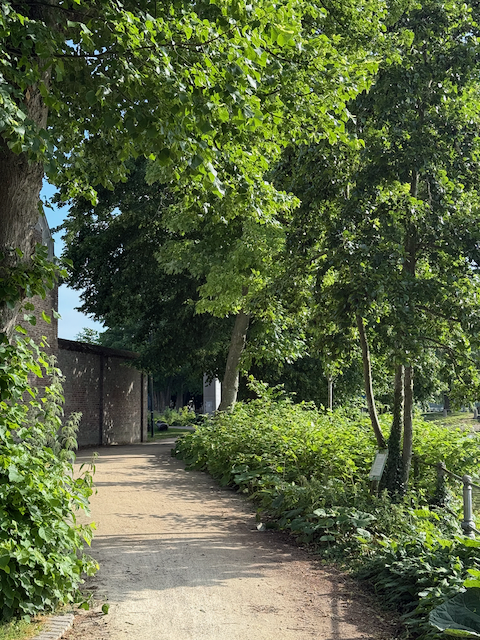 Day 4 through 11 the bike ride from bruge to the next to last day