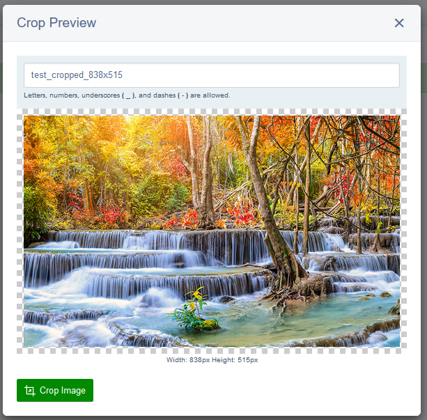 Crop Preview window