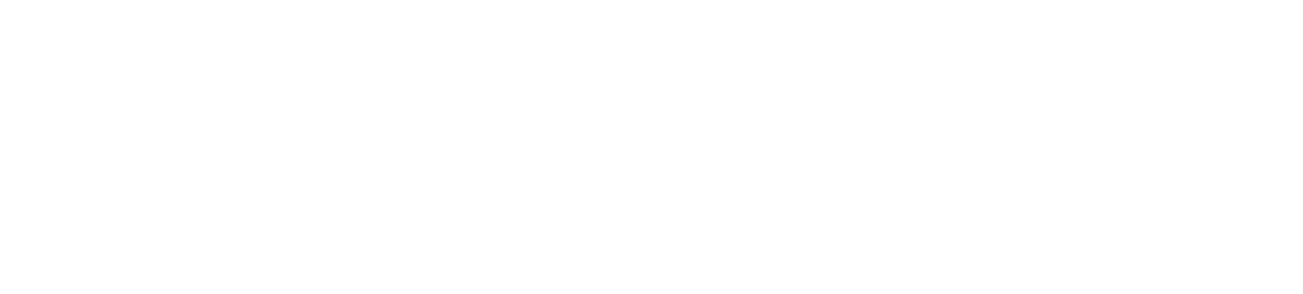 Dashboard Hub Horizontal Logo