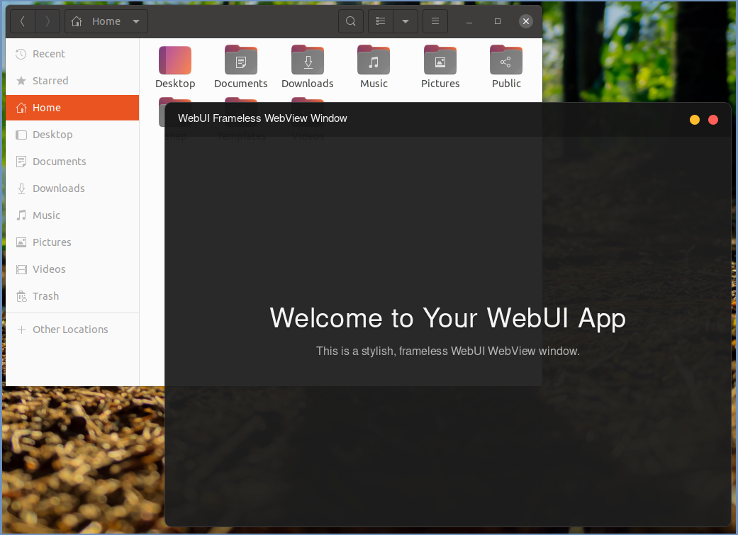 Screenshot