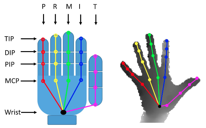 hand_model