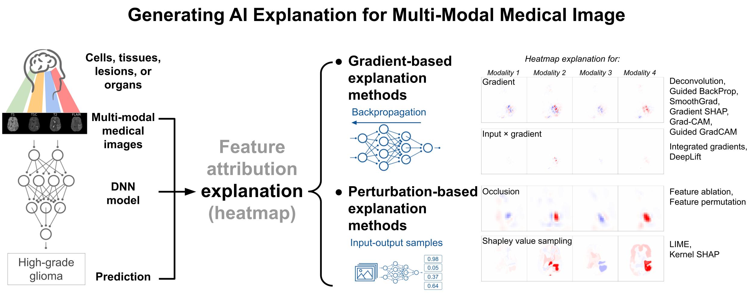 Multimodal-Explanation : Infrastructure for AI for Science | SciencePedia