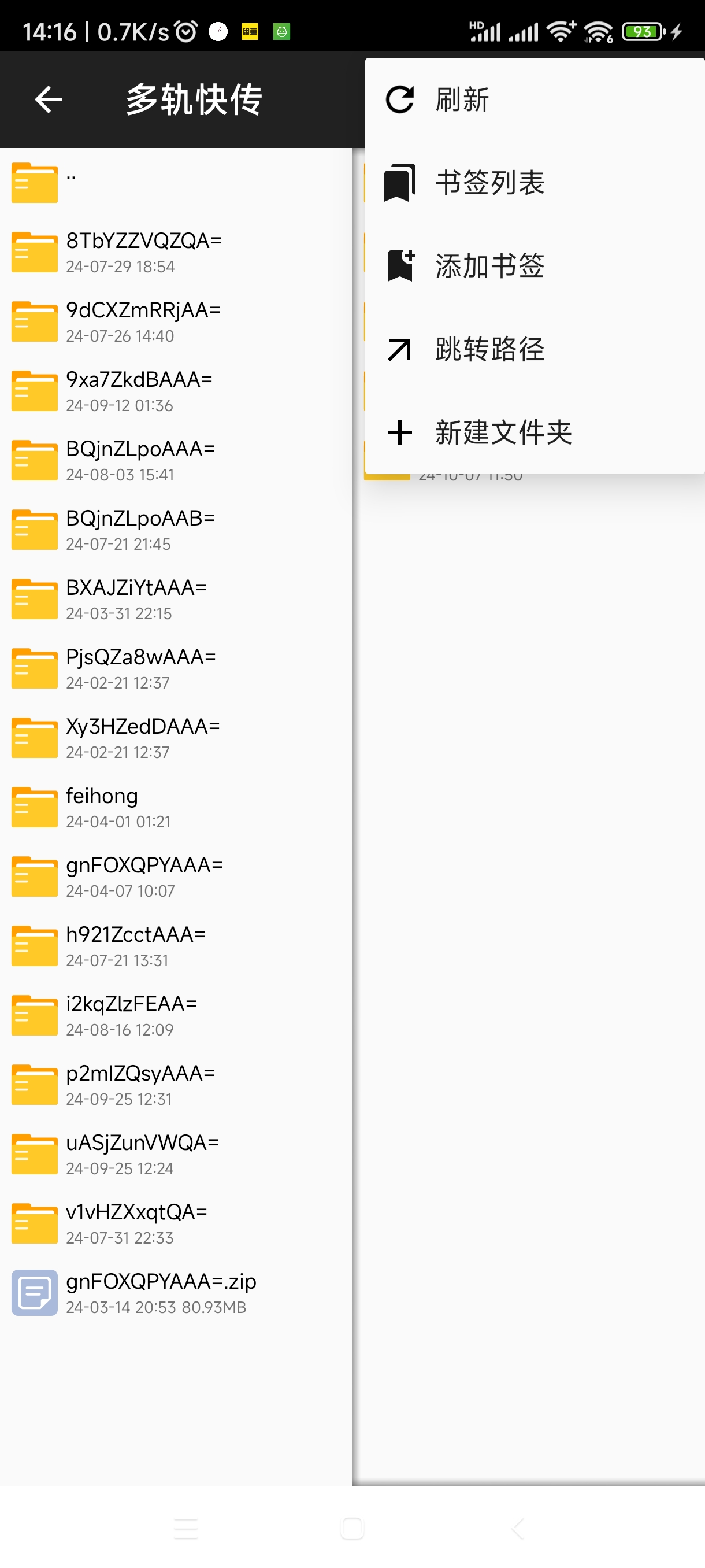 Screenshot_2024-10-13-14-16-19-518_top.weixiansen574.hybridfilexfer