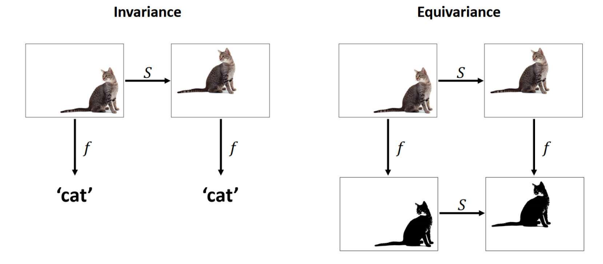 Invariance and Equivariance