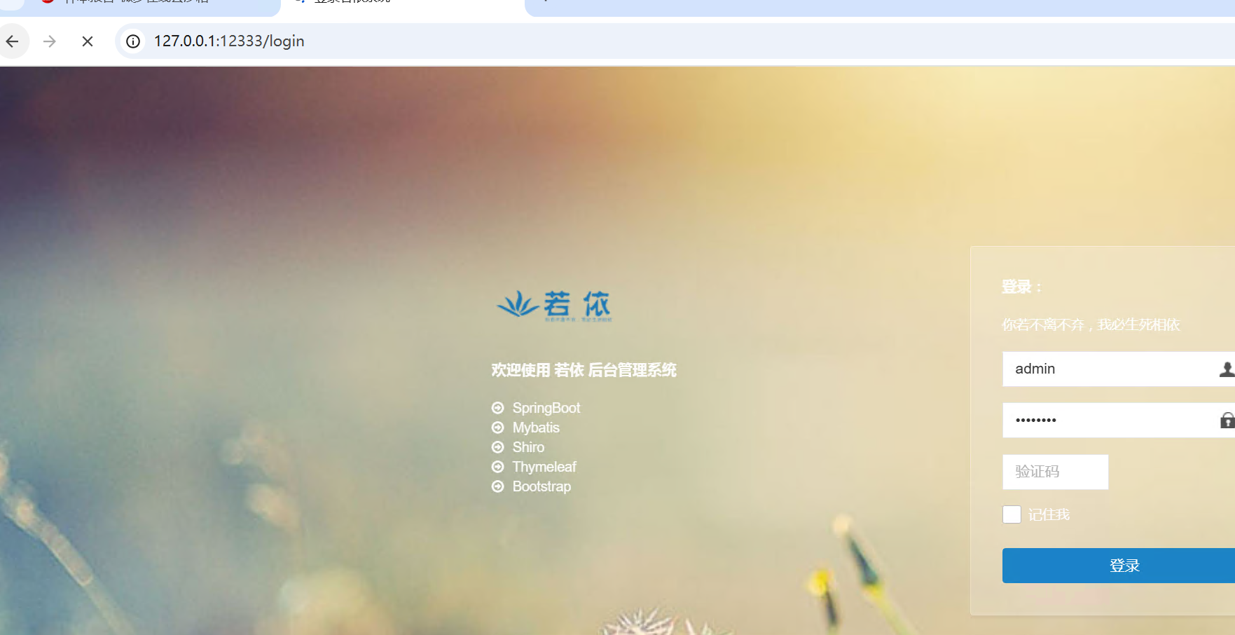 image-20260412160959600