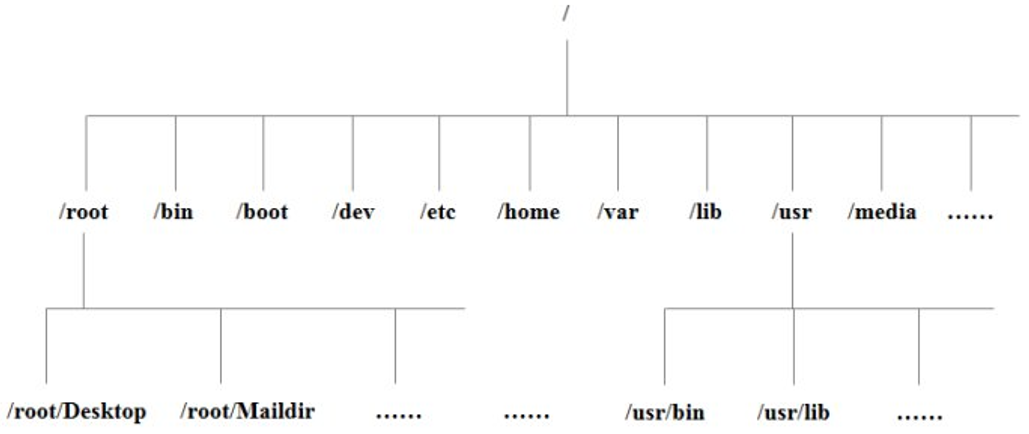 Directory Structure