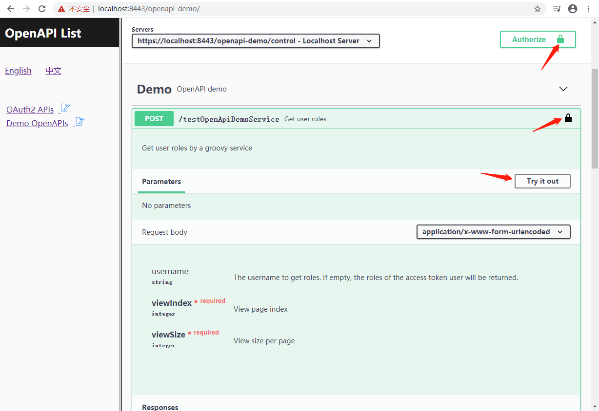 openapi demo oauth2 authorized