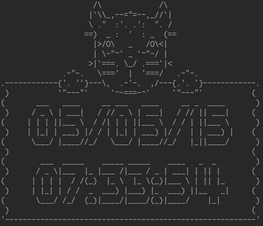 Screen-shot showing a the current date and time in a frame with a cat on top using ASCII art