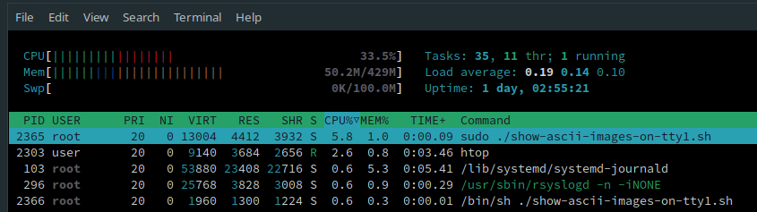 htop showing the script is running