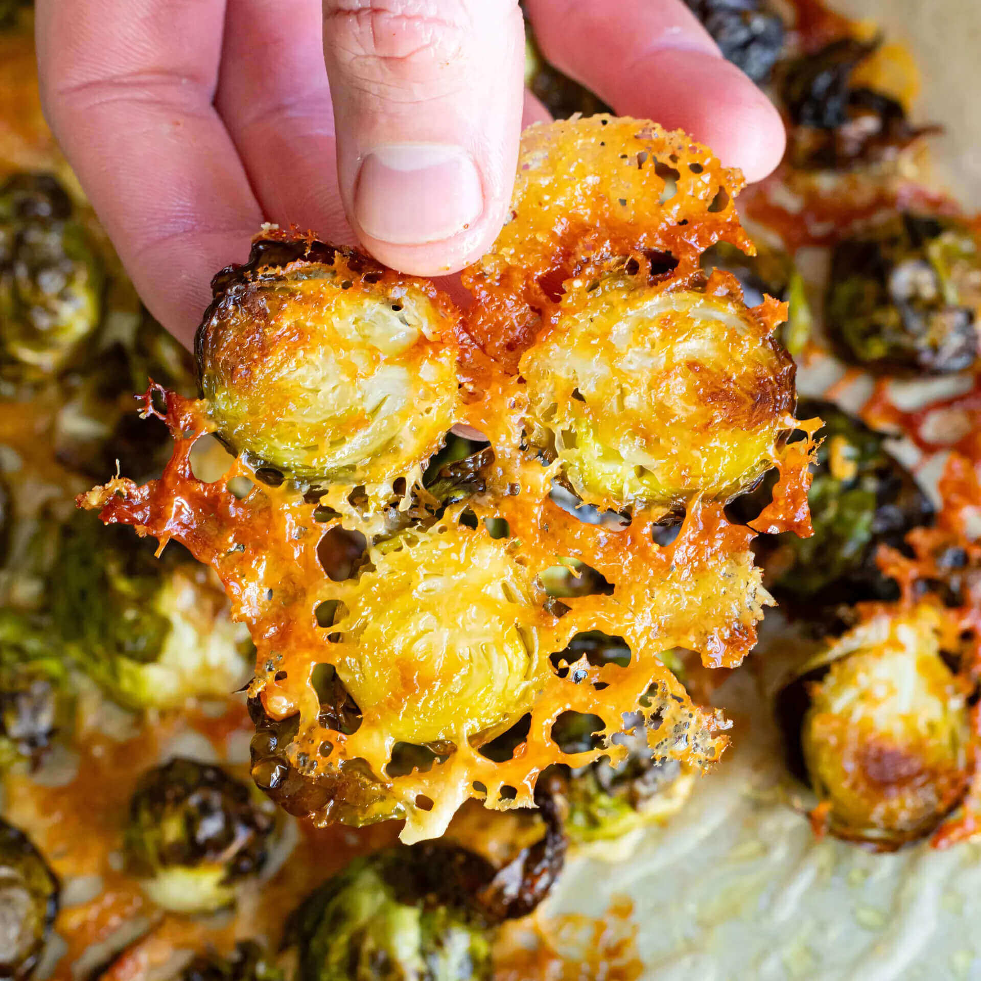 parmesan-brussels-sprouts