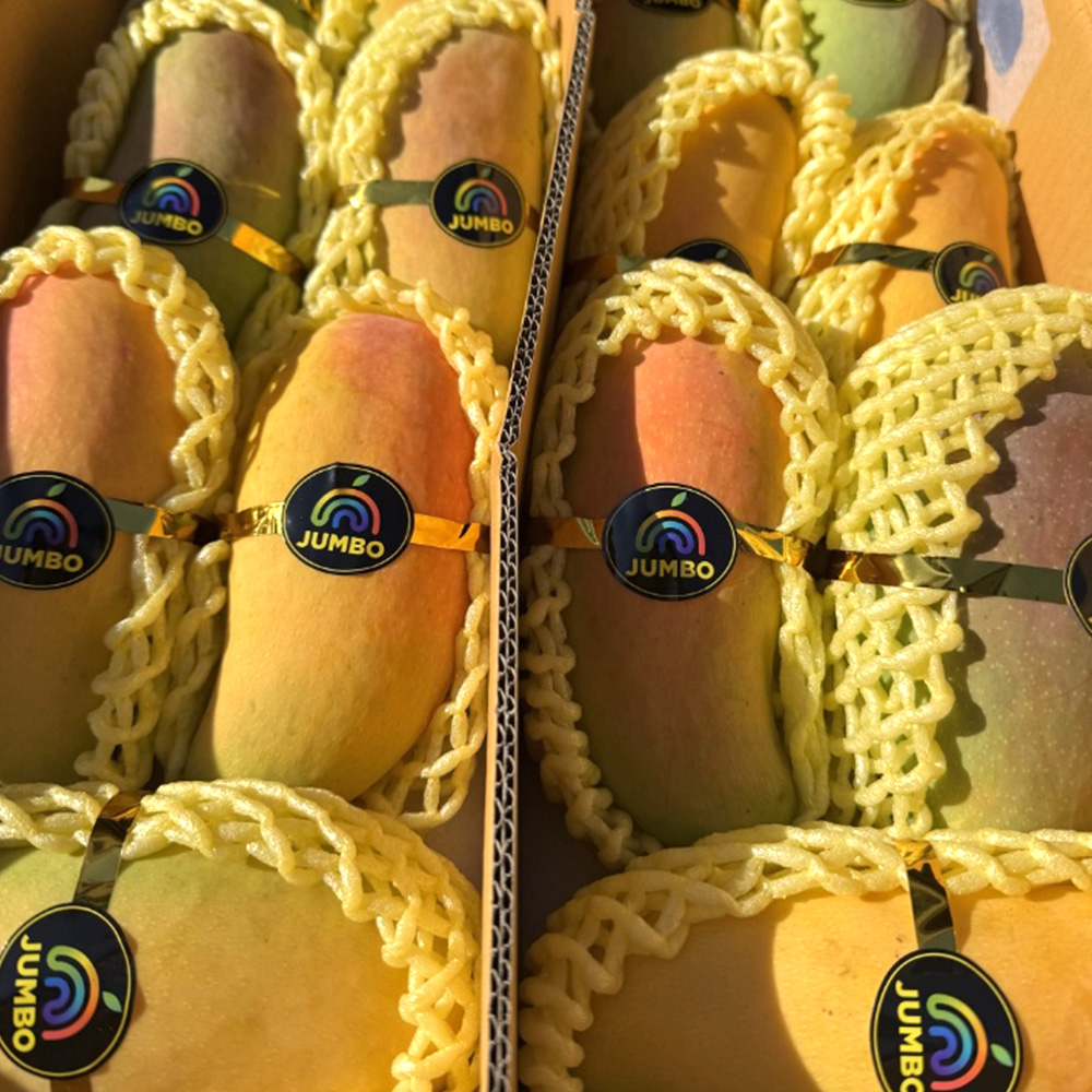 ★항공직송★무지개망고 1kg (3과 내외)
