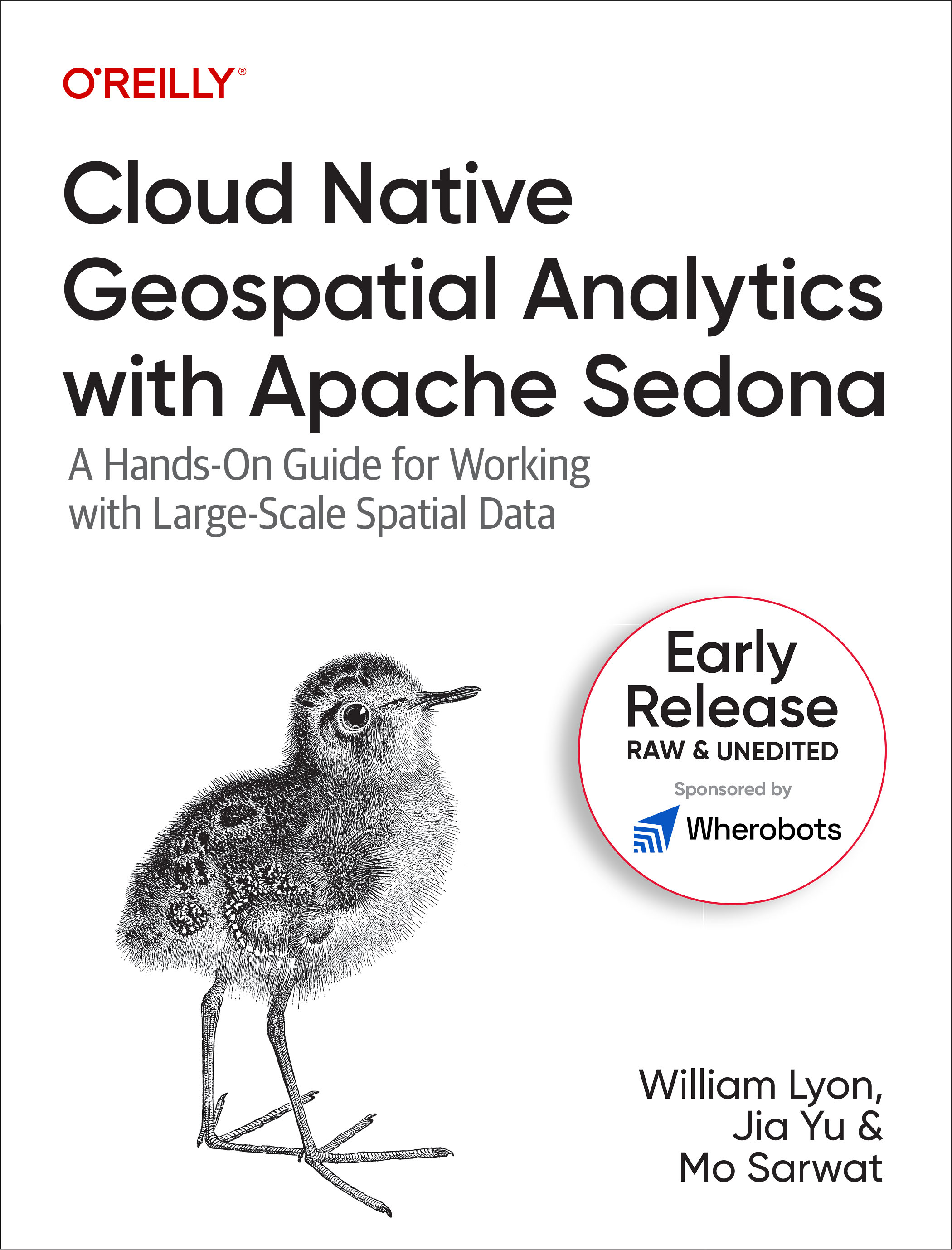 Cloud Native Geospatial Analytics With Apache Sedona